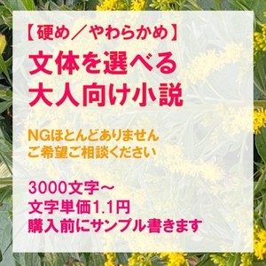 詳細指定もおまかせも。大人向け小説執筆します
