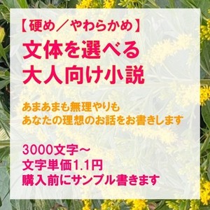詳細指定もおまかせも。大人向け小説執筆します