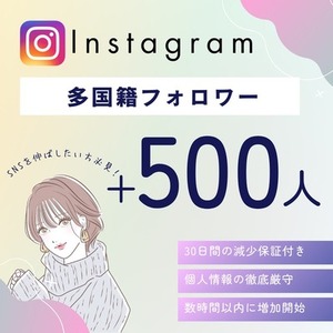 🌸インスタ多国籍フォロワー+500人増加✅高品質💎減少保証付き