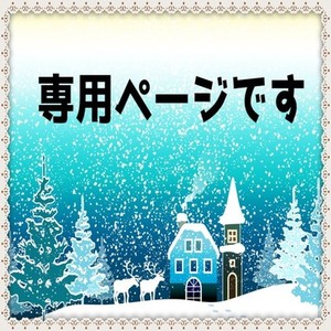 🌟専用ページです