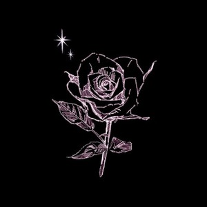 【専用】心臓様