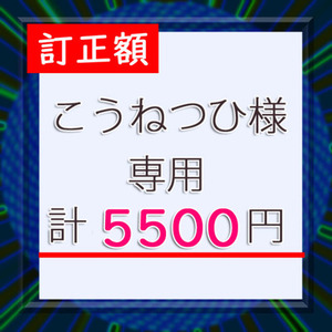 【訂正版】こうねつひ様・専用【+１５００円】