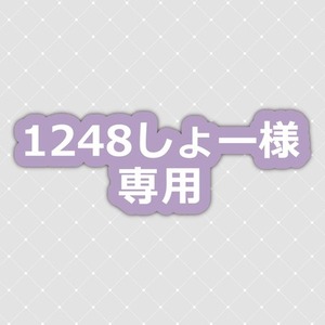 1248しょー様専用