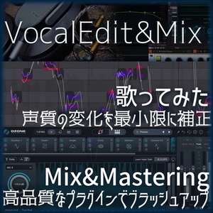 最新のソフトウェアで歌ってみた等のMIXを承ります。