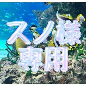 スノ様専用プラン