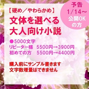 【お手頃ショート版】詳細指定もおまかせも。大人向け小説執筆します