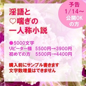 【お手頃ショート版】淫語モリモリのHな大人向け小説をお書きします