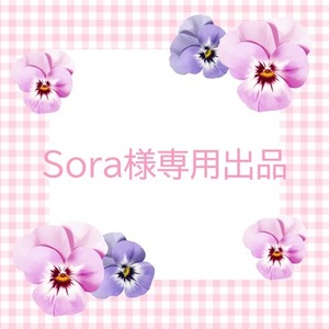 Soraさま専用出品