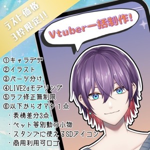 実績用制作につきフルセットを安価でのご案内！