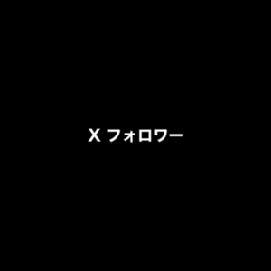 X Twitter 外国人フォロワー 100人 増加