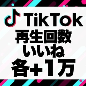 【購入可】TikTokの再生回数＆いいねを各+1万増加します　※30日保証