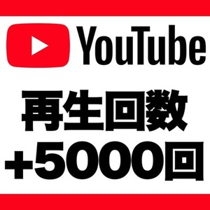 【購入可】YouTubeの再生回数を+5,000回増加します　※365日保証