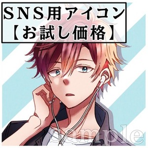 【お試し価格】SNS用アイコン描きます！