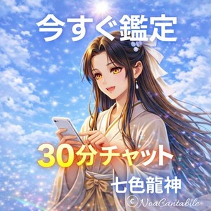 今すぐ待機中【七色龍神鑑定・30分】あの人の気持ち｜チャット占い