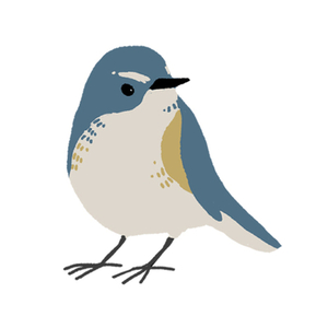 リテイク・調整