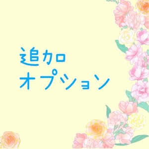 追加オプション