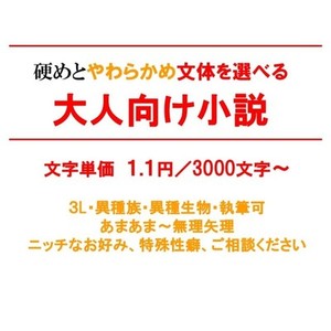 詳細指定もおまかせも。キャラを大事に、大人向け小説お書きします
