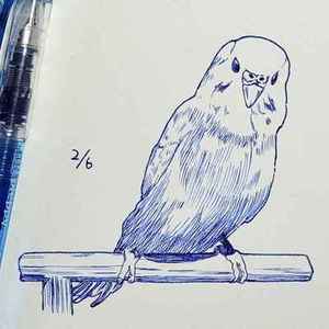 藍色万年筆｜あなたの大切な動物を描きます（1匹）