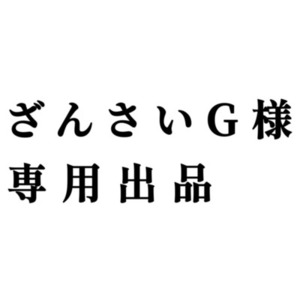 ざんさいG様専用出品