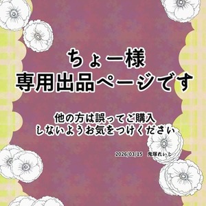 ちょー様用専用出品になります