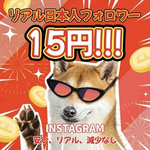 インスタ Instagram日本人リアルフォロワー 100人｜安全SNS運用支援