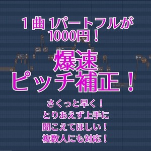爆速ピッチ補正します　最短翌日！　ピッチ補正のみだから安い！