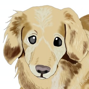 大切なうちの子、好きな動物イラスト承ります