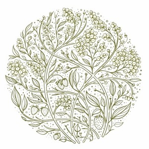 アポロ様様専用 ロゴ＋ヘッダー制作