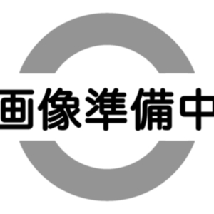 イラスト全般描かせていただきます‼️