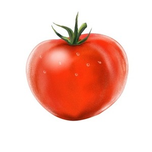 野菜、食べ物のアイコンイラスト