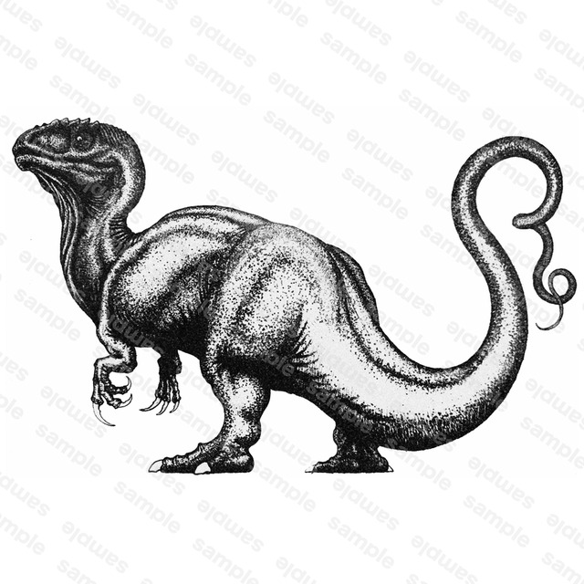 Monster Design 的商品圖片第 5 張