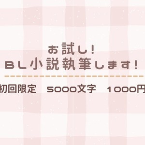 【初回限定】お試し！小説執筆します【5000字1000円】