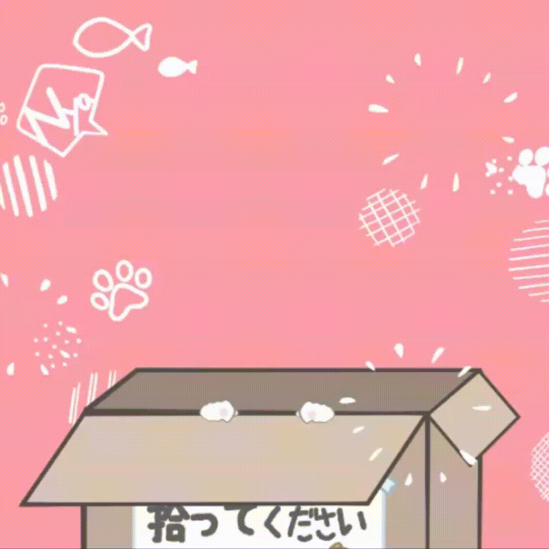 ぷにっとかわいいミニキャラアニメーション / ムービー