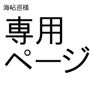 【専用】新衣装制作一式（デザイン＋モデリング込み）