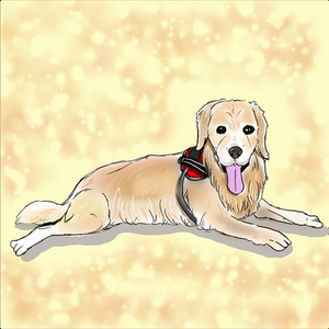 ペットの似顔絵描きます。