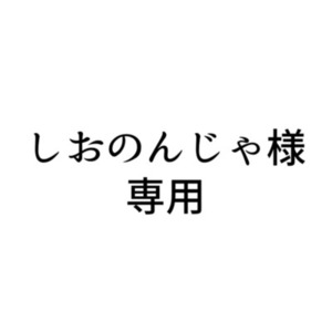 しおのんじゃ様専用