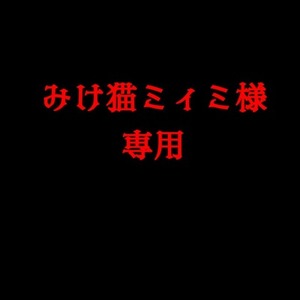みけ猫 ミイミ様専用