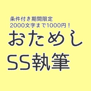 条件付き期間限定2000文字まで1000円！おためしSS執筆
