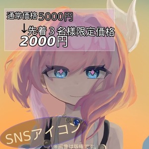 【先着3名様限定特別価格】SNSアイコン描きます（オリジナルのみ）