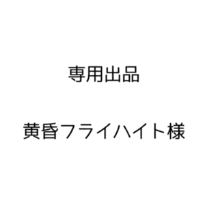 黄昏フライハイト様専用出品
