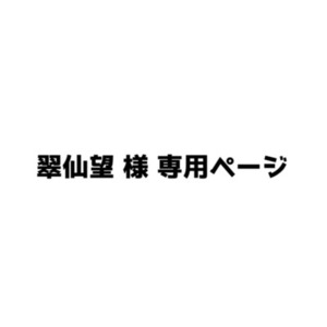 翠仙望様専用ページ
