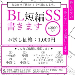 【お試し価格】BL短編SS～小説を書きます【R18対応可】