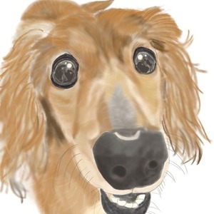 ペットや愛車を描きます