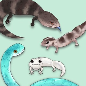 爬虫類ちゃんお描きします！