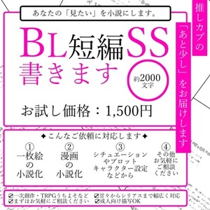 【お試し価格】BL短編SS～小説を書きます【R18対応可】