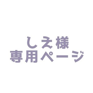 専用ページ