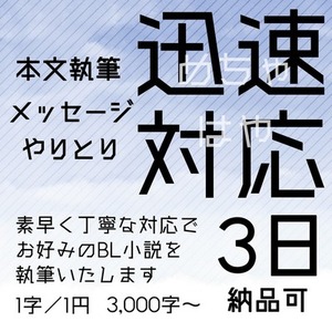 迅速対応 BL小説執筆いたします