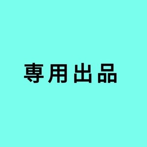 専用ページ2