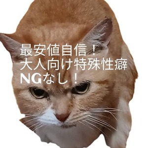 最安値自信！1文字0.5円で豊富な大人向け、特殊性癖執筆します！