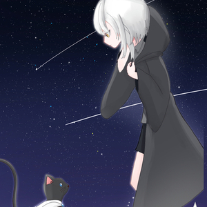小説などの